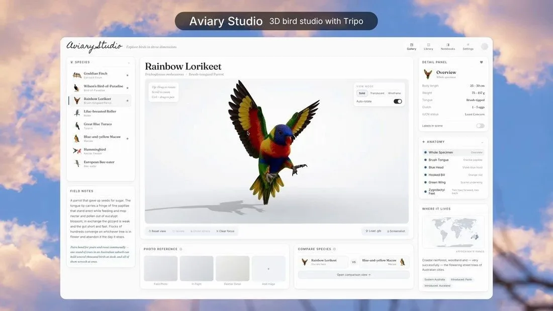 Aviary Studio, a 3D Rainbow Lorikeet you can rotate, with a species list, an anatomy panel, and a range map, built with Tripo