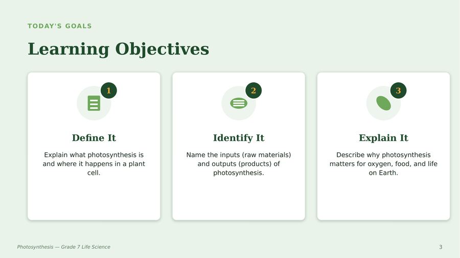 Slide 3