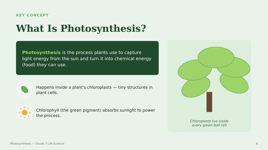 Slide 4