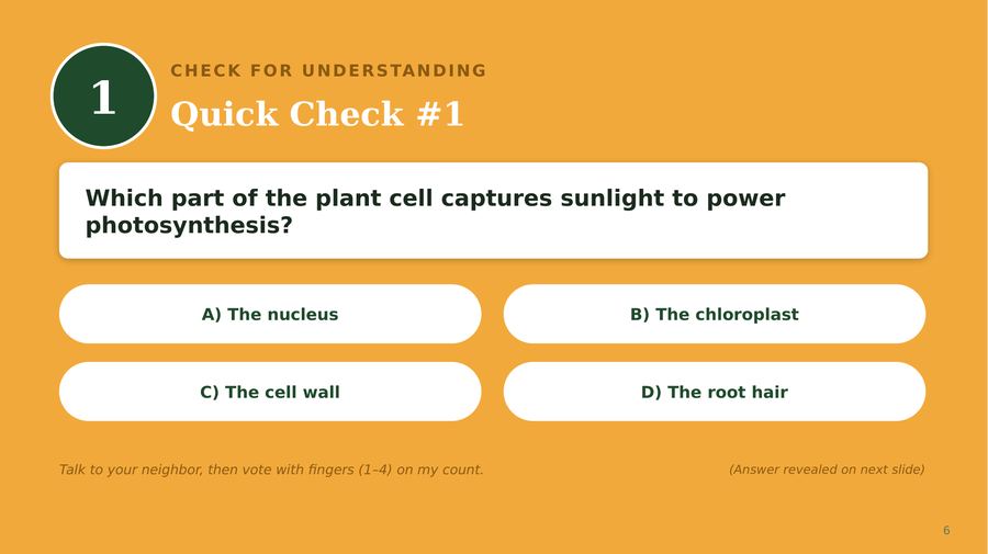 Slide 6