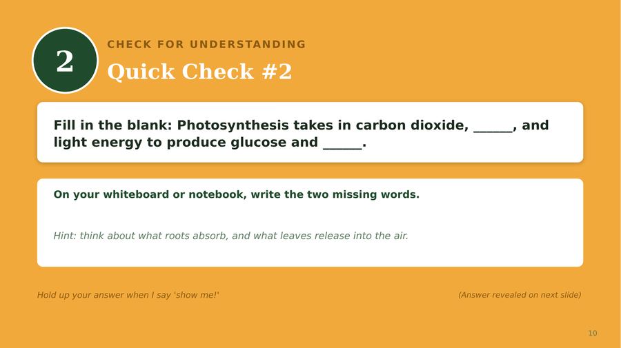 Slide 10