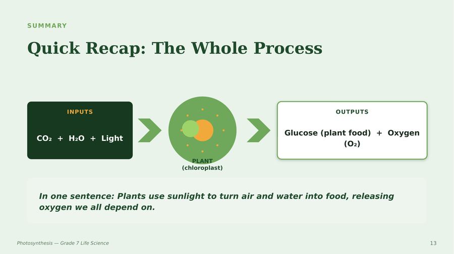 Slide 13